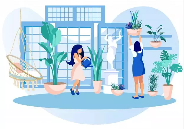 用綠植去除甲醛是真是假？網(wǎng)絡(luò)留言不如試驗(yàn)結(jié)果來(lái)的可信！