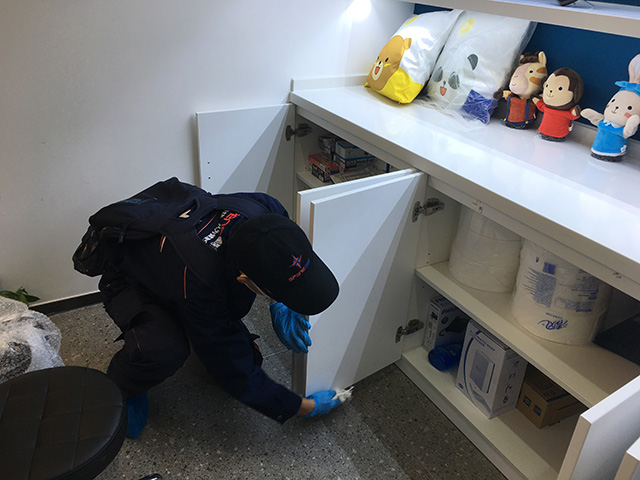 裝修完快速除甲醛的好方法是什么?怎么除甲醛？